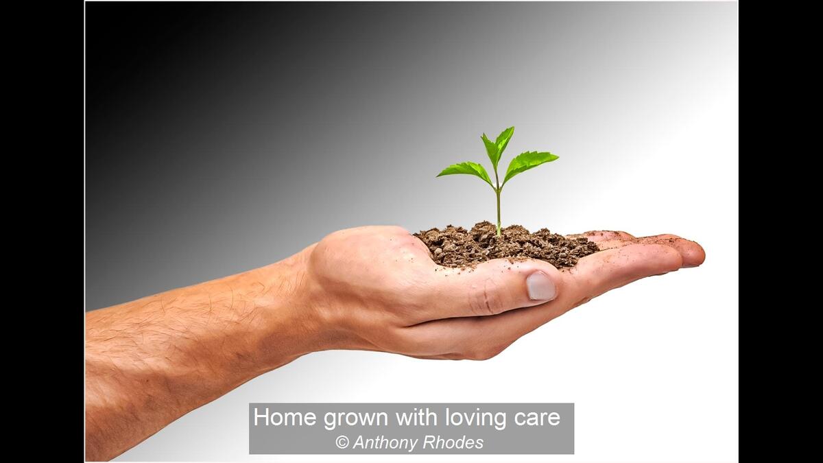 Home grown with loving care